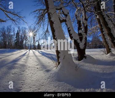 DE - BAVARIA: Winter Scene near Lenggries (HDR image) Stock Photo