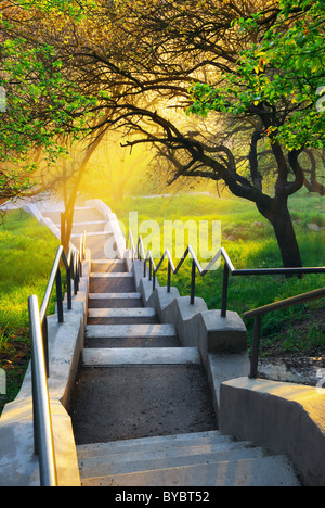 Sunshine in beautiful park. Nature composition. Stock Photo