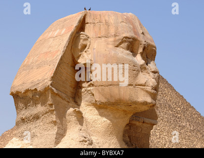 Sphinx and Khafre Pyramid, Egypt Stock Photo