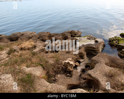 Coquina rock at Castaway Point on the Indian River Lagoon at Palm Bay by the Intracoastal Waterway in East Central Florida Stock Photo