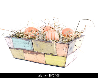 Five fresh eggs in old-fashioned flowerpot filled with hay on white background Stock Photo