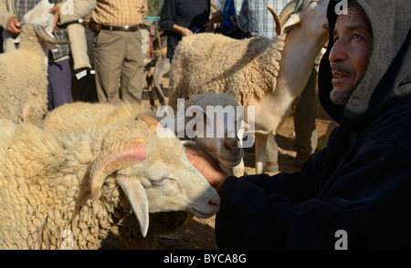 Crowded sheep market at Ait Ourir Morocco for sacrifice at 