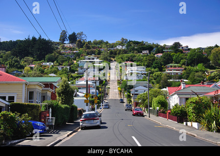 Baldwin Street (world's steepest street), North East Valley, Dunedin, Otago, South Island, New Zealand Stock Photo