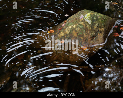 Pattern of bubbles on the surface of water around a rock in a pond. Fall nature scenic. Stock Photo