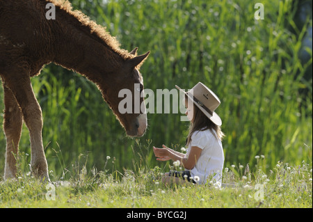 Curly Horse (Equus ferus caballus). Foal approaching girl sitting in grass. Stock Photo