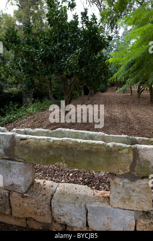 The irrigation troughs in the orange groves of Buskett Gardens, near Rabat, Malta. 17th century, built for Grand Master Lascaris Stock Photo