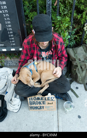 Young homeless man with dog begging on the street, New York City, USA Stock Photo