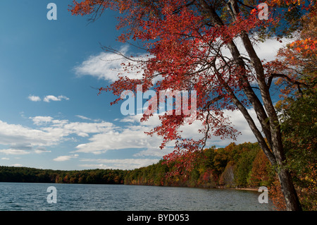 Walden Pond in Concord, ma is the setting of Henry David Thoreau's famous book. Stock Photo