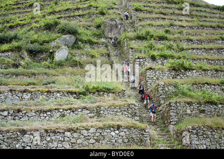 Inca Terraces at Intipata Stock Photo