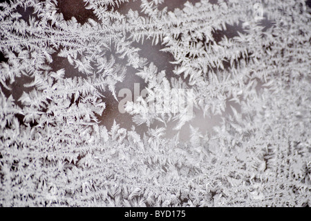 frozen ice crystals on a window Stock Photo