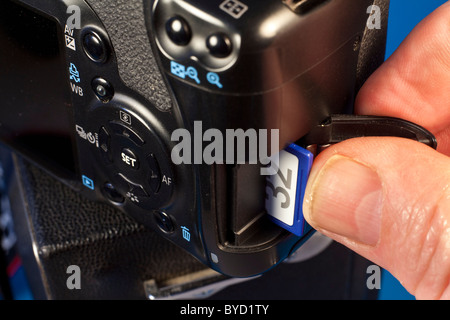 SD storage media Stock Photo