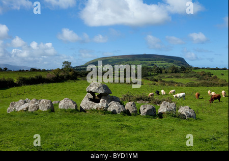 Dolmen (Portal Tomb) in Stone Circle, Carrowmore Megalithic Cemetery (4,000 BC ), Knocknarea in distance, Cúil Irra Peninsula, County Sligo, Ireland Stock Photo