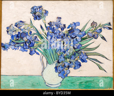 Irises, 1890, by Vincent van Gogh, Stock Photo