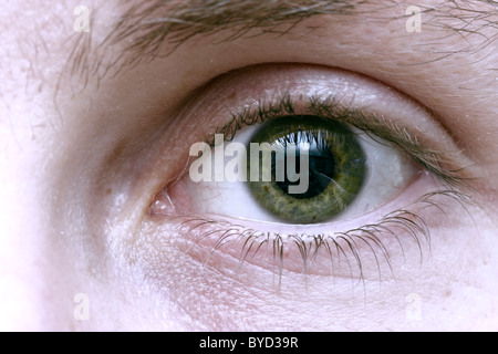 A close up of a green eye of a man, staring straight on. Stock Photo