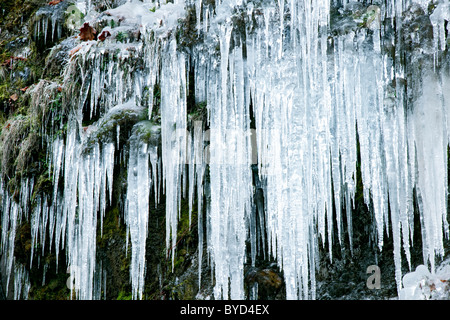 cicles hang along Eagle Creek Canyon in Oregon's Columbia River Gorge. Stock Photo