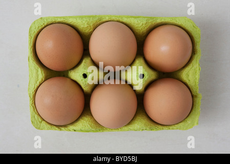 Six brown eggs in an egg carton Stock Photo