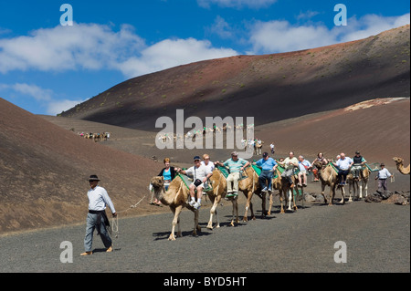 Tourists riding camels in Montana del Fuego de Timanfaya National Park, Lanzarote, Canary Islands, Spain, Europe Stock Photo