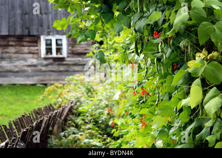 Casubian region heritage park in Wdzydze Kiszewskie, Poland. Wooden architecture and culture of Kashubia and Kociewie from XVII Stock Photo