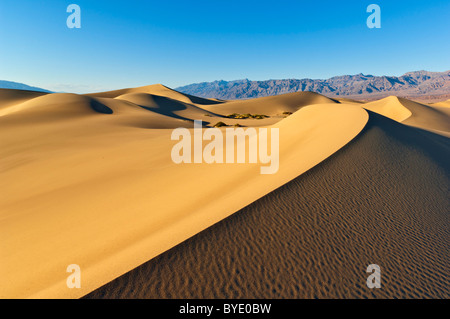 Mesquite Flats sand dunes Grapevine mountains of the Amargosa range Stovepipe Wells Death Valley National Park California Stock Photo