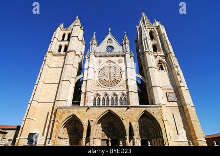 Santa Maria de Regla cathedral, Plaza Regla, Leon, province of Castilla y Leon, Castile and León, Spain, Europe Stock Photo