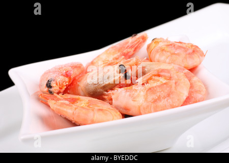 cooked iced prawns, defrosting before being eaten. Stock Photo