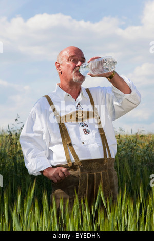 Elderly man wearing traditional Bavarian lederhosen, standing in a cornfield, drinking from a bottle of water Stock Photo