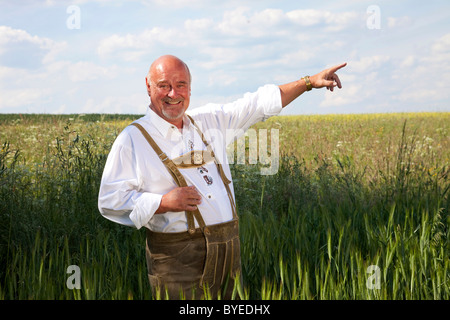 Elderly man wearing traditional Bavarian lederhosen, standing in a cornfield, pointing into the distance Stock Photo