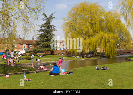 Queen Elizabeth Gardens, Salisbury, Wiltshire, England, United Kingdom, Europe Stock Photo