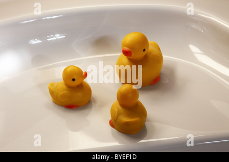 Yellow rubber ducks on a bath Stock Photo