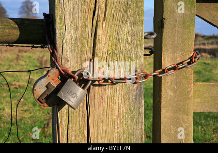 Padlocks and chain on a farm gateway in the Norfolk countryside. Stock Photo