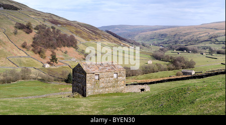 Traditional barn near Thwaite, looking down Swaledale, in the Yorkshire Dales National Park. (Panorama) Stock Photo
