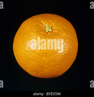 Whole citrus fruit orange variety Iyokan Stock Photo