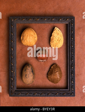 five different kinds of nuts in a frame Stock Photo