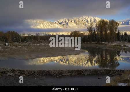 Grand Tetons reflected in beaver pond. Stock Photo