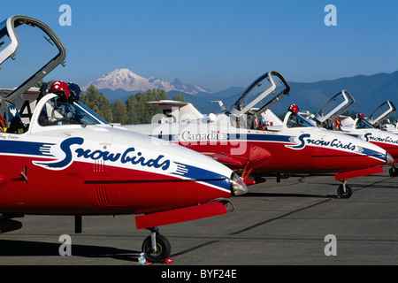 Canadian Forces Snowbirds on Display, Abbotsford International Airshow, BC, British Columbia, Canada - Mt Baker, USA in distance Stock Photo