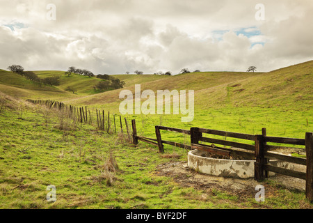 A drinking trough on farmland Stock Photo