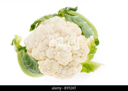Cauliflower isolated over white background Stock Photo
