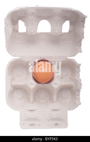 lonely fresh egg in a carton box isolated on white background Stock Photo