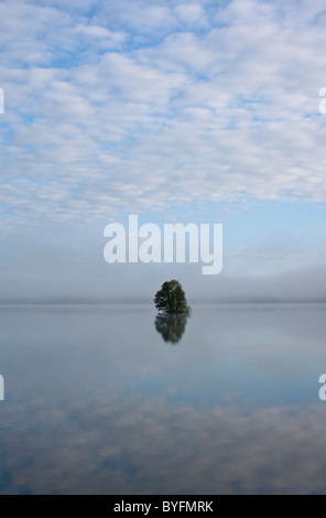 Scenic landscape with water and lonely tree Stock Photo