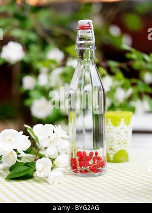 Red currants and water in bottle on outdoor table Stock Photo
