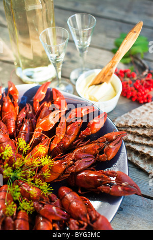 Meal with crayfishes on outdoor table Stock Photo