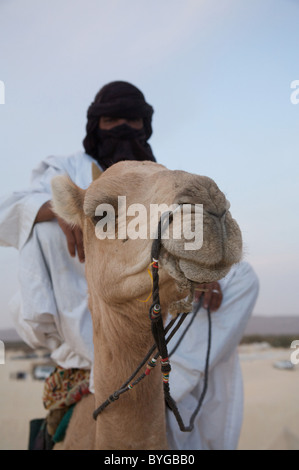 A Touareg posing on his camel, at the Festival in the Desert, Essakane, Near Timbuktu, Northern Mali, West Africa Stock Photo