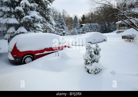 Cars buried in snow morning after a winter blizzard Stock Photo