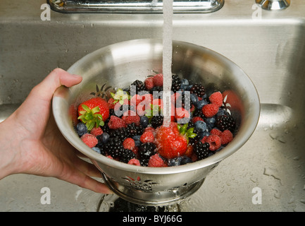 Fresh strawberries, red raspberries, blackberries and blueberries in a metal colander being rinsed under a sink faucet. Stock Photo