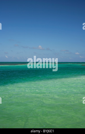 Exotic Clear Sea Water And Blue Sky With A Sailing Boat At The Horizon; Caye Caulker; Belize; Central America Stock Photo