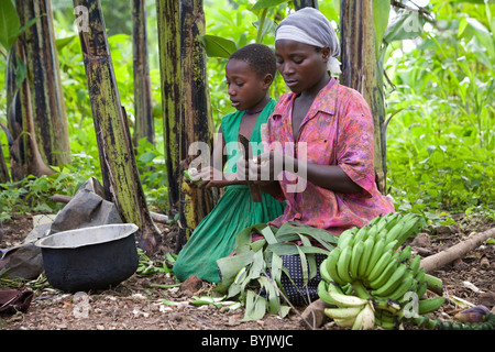 A woman cooks bananas for the evening meal with her daughter in rural Masaka, Uganda, East Africa. Stock Photo