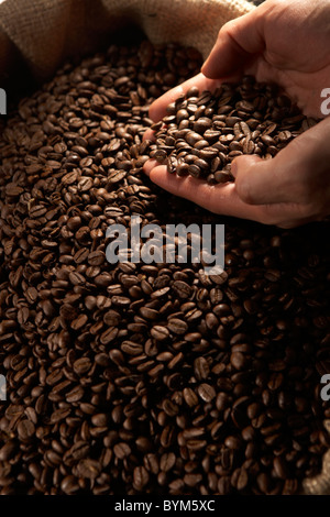 Person Holding Coffee Beans Stock Photo