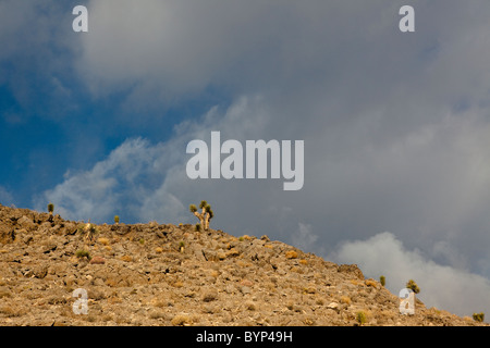 Storm clouds over the Mountains in Death Valley National Park, California. Stock Photo