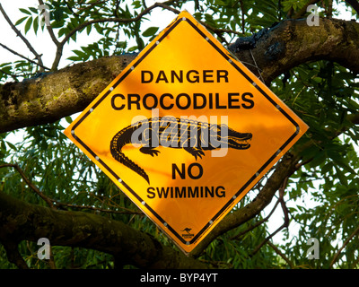 Danger Crocodiles No Swimming warning sign nailed to a tree Stock Photo