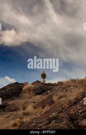 Storm clouds over the Mountains in Death Valley National Park, California. Stock Photo